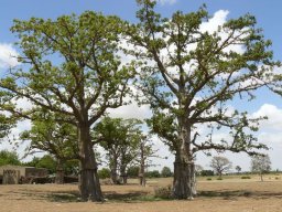 283125_10150261348014901_5002726_n